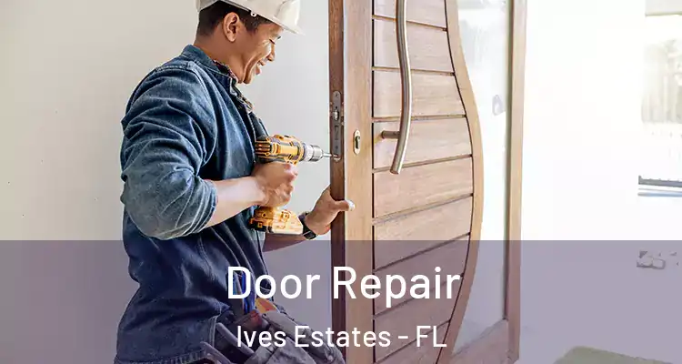  Door Repair Ives Estates - FL
