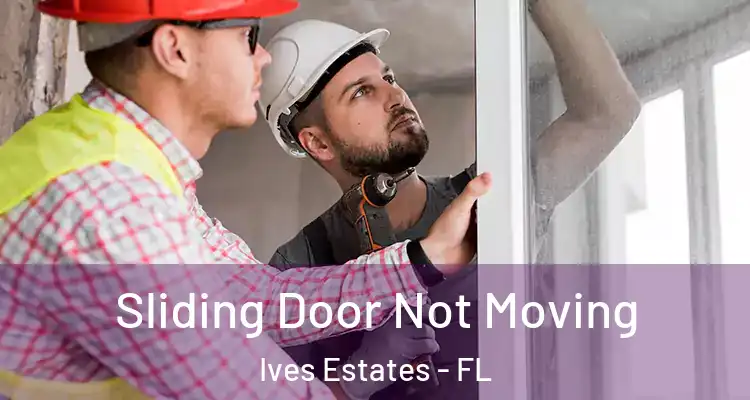  Sliding Door Not Moving Ives Estates - FL