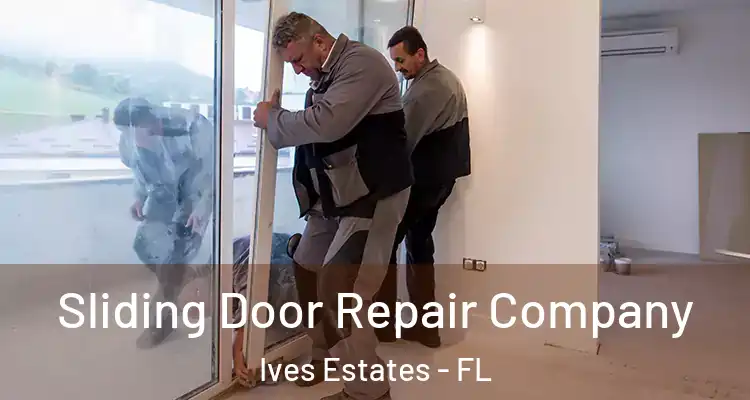  Sliding Door Repair Company Ives Estates - FL