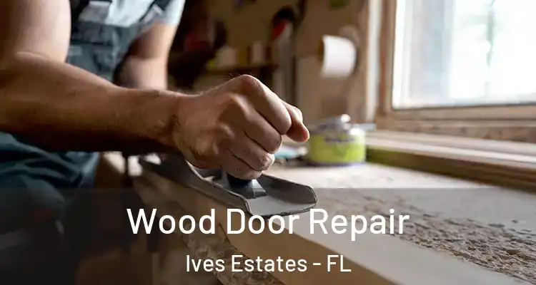  Wood Door Repair Ives Estates - FL